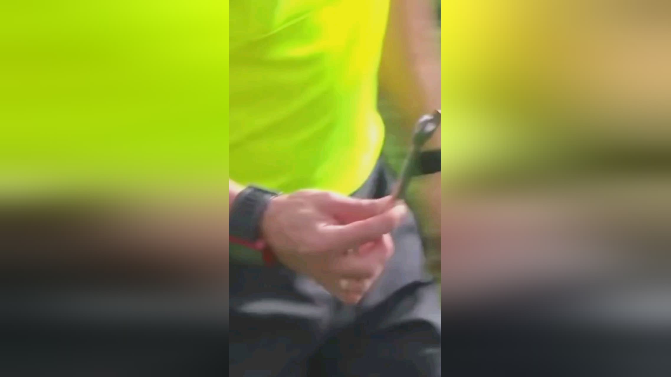 的竞
